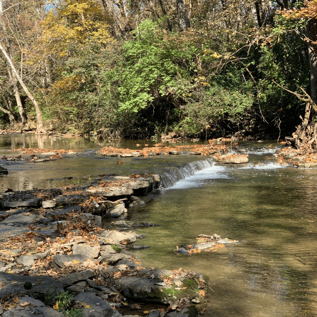 Small waterfall and rocks along forest creek at Grahams Estate in Gallatin Tennessee