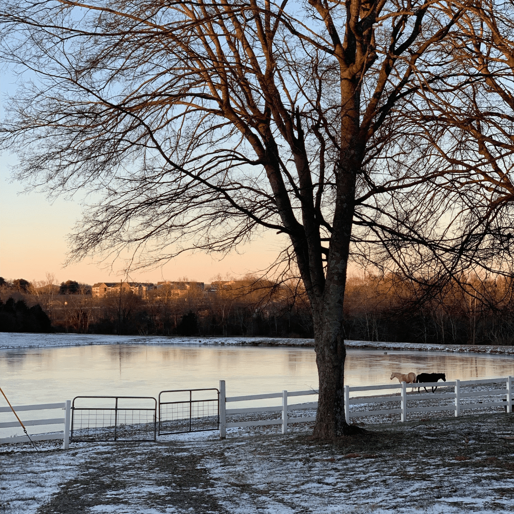 Snowy winter view of frozen lake and horses at Grahams Estate Gallatin TN