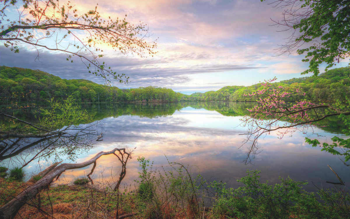 Peaceful view of Radnor Lake surrounded by spring greenery