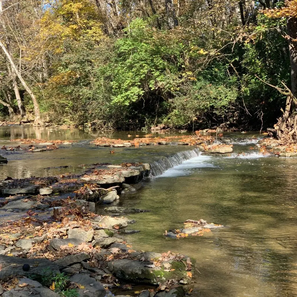 Scenic creek and small waterfall near Grahams Estate wedding venue in Gallatin TN during autumn